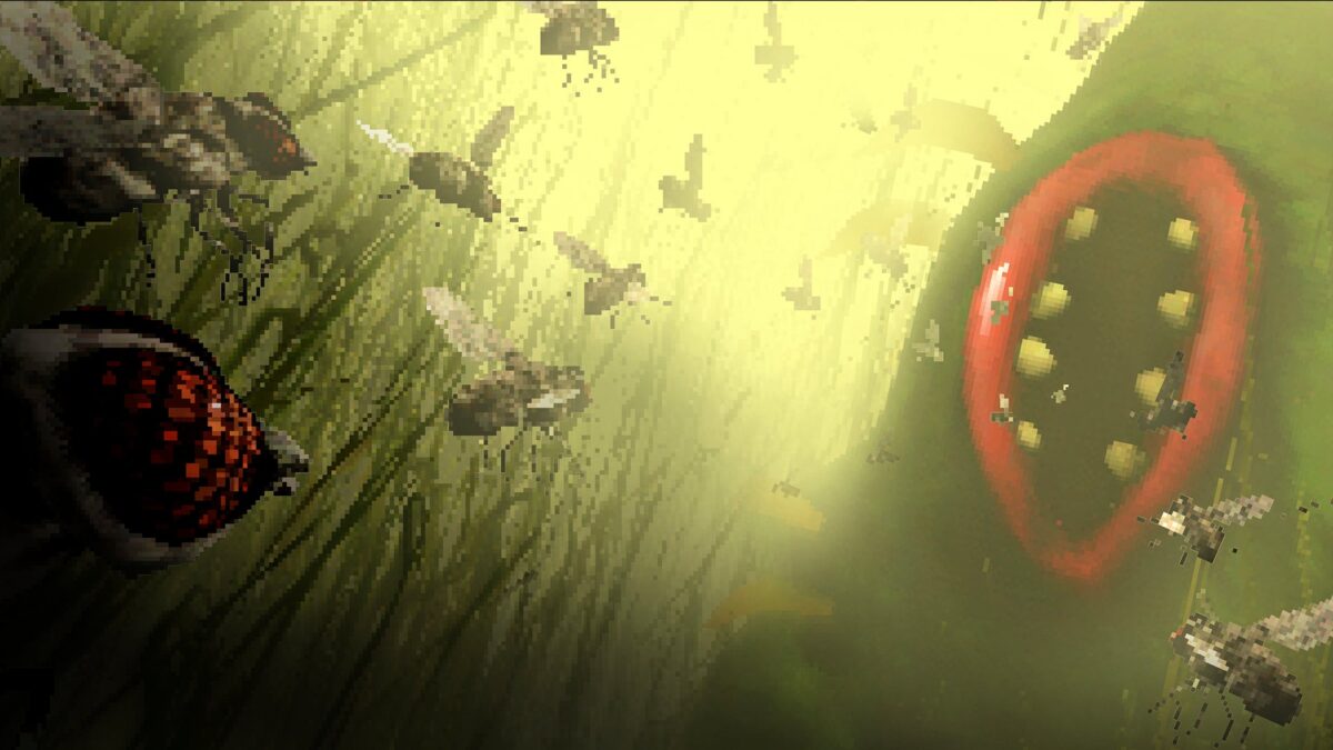 The Hungry Fly