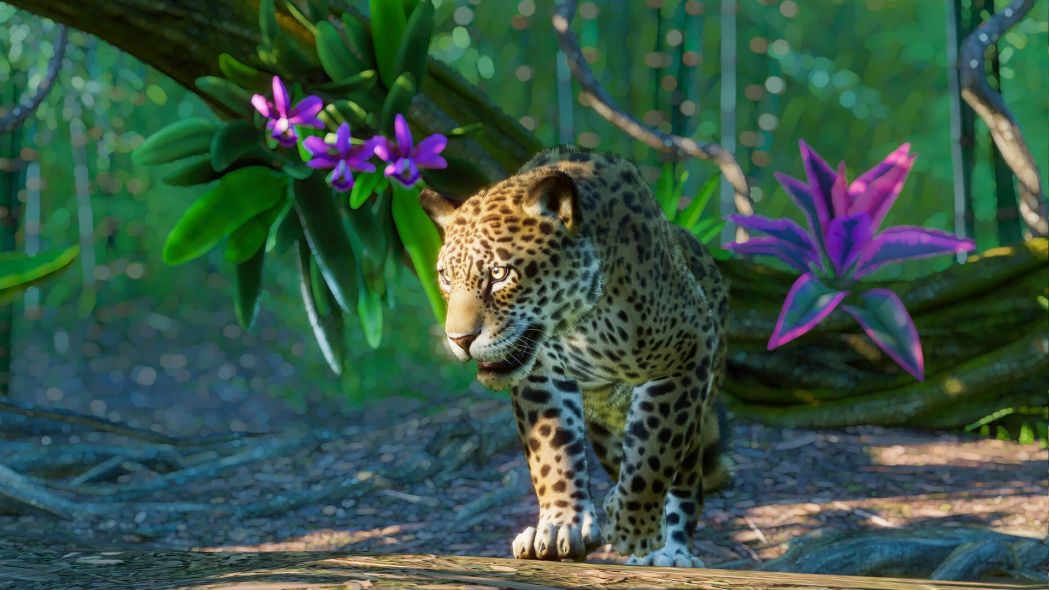 Planet Zoo: South America